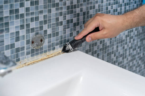 Best Commercial Mold Removal  in Whitmire, SC